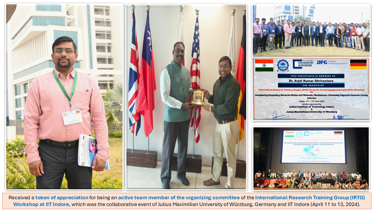 Professional Event 3